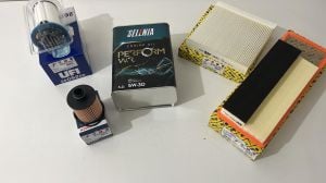 Yağ Bakım Seti | Egea 13 Euro 5 Selenia 05W-30 3.2 Lt