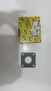 Arka Aks Sacı Doğan Kartal Şahin Kare