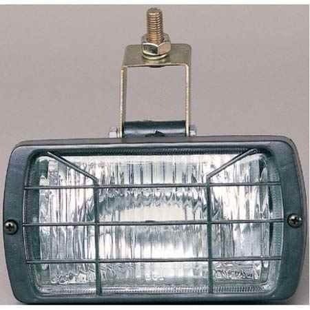 Sis Farı Doğan Kartal Şahin