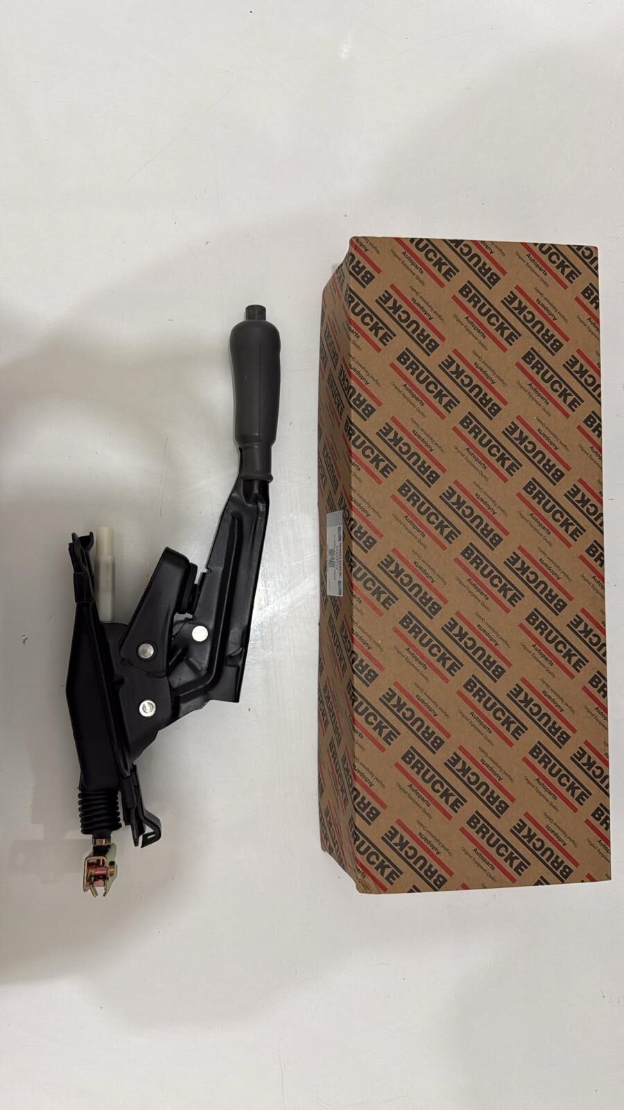 El Fren Kolu Palio Albea Siena