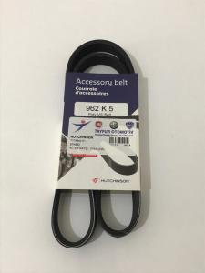Alternatör Kayışı | Tipo Tempra Klimalı